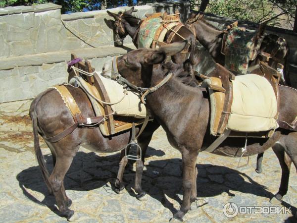 Экскурсия в г. Линдос (Греция, Родос) фото