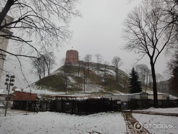 Вид на башню из парка