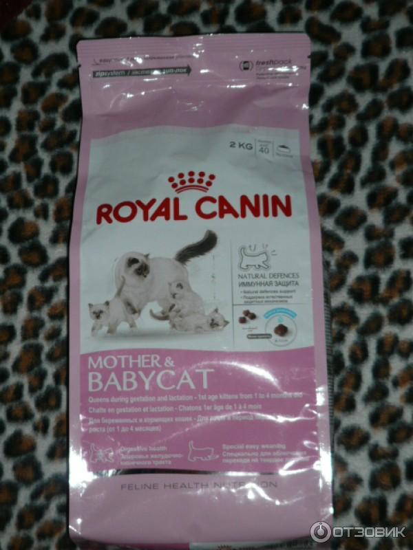 Сухой корм для беременых кошек и котят до года Royal Canin фото