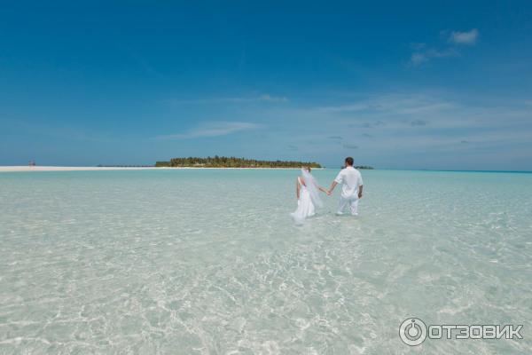 Отель Sun Island Resort 5* (Мальдивы) фото