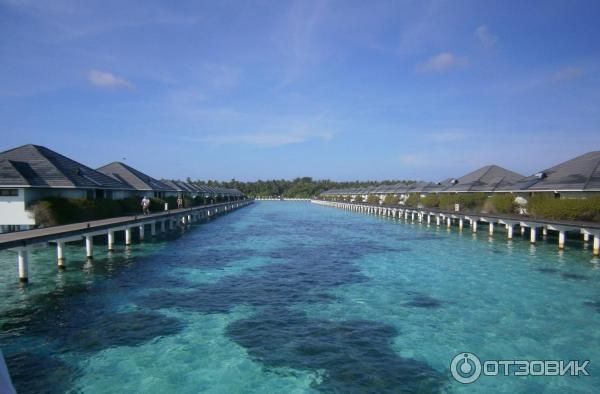 Отель Sun Island Resort 5* (Мальдивы) фото