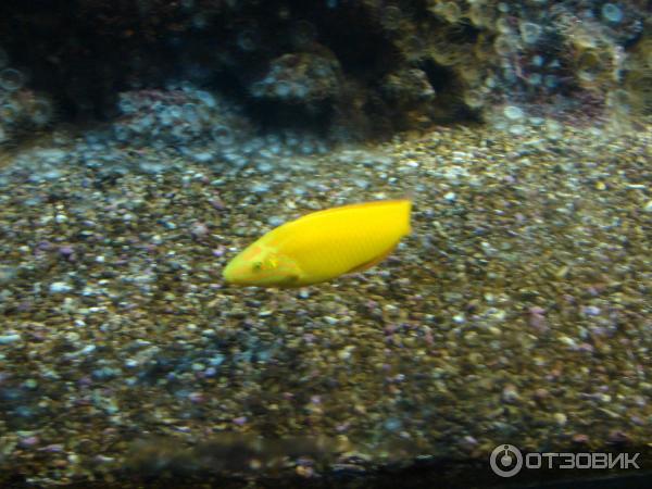 Океанариум Cretaquarium (Греция, о. Крит) фото