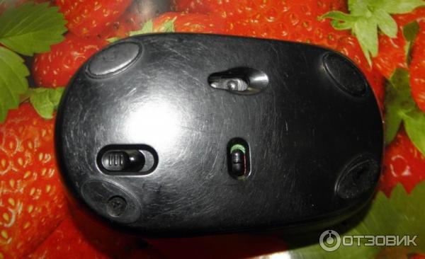 Мышь беспроводная Logitech M305 фото