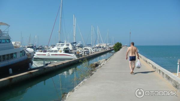 Ocean Marina Yacht Club