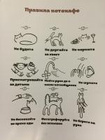 Кафе "Котики и люди" (Россия, Москва) фото
