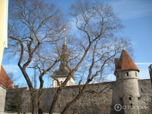 Круизный паром Принцесса Анастасия (Хельсинки-Стокгольм-Таллин) фото