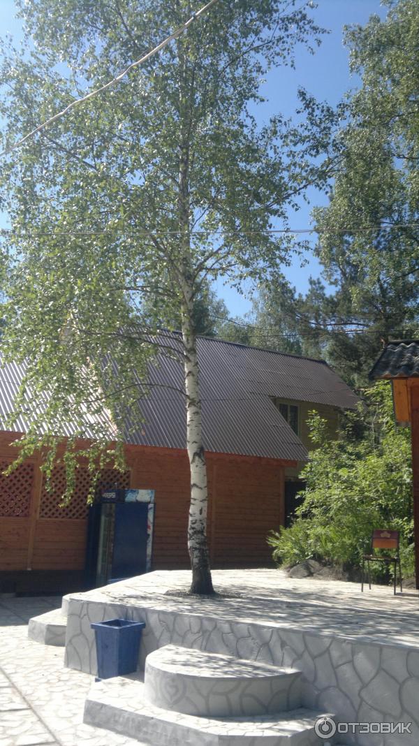 Туристическая база Шамбала Б (Россия, Горный Алтай) фото