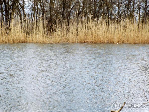 Творческая группа Мишкинские бугры (Россия. Новочеркасск) фото