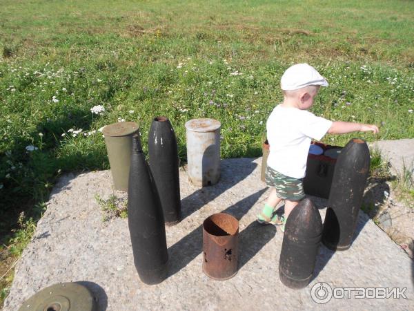 Военно-исторический комплекс Линия Сталина (Россия, Псковская область) фото