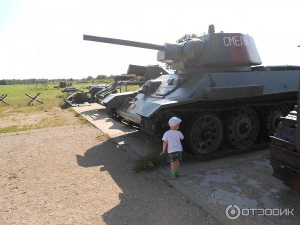 Военно-исторический комплекс Линия Сталина (Россия, Псковская область) фото