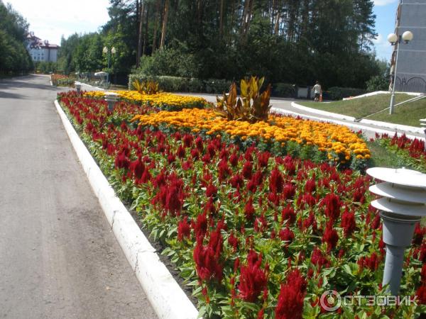 Санаторий Озеро белое (Россия, Московская область) фото