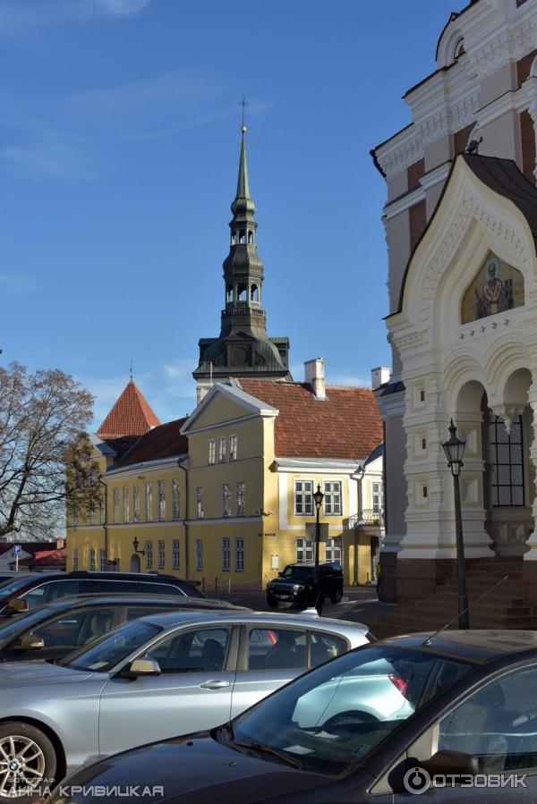 Экскурсия по Старому Таллинну (Эстония) фото