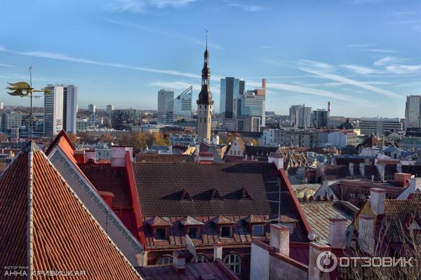 Экскурсия по Старому Таллинну (Эстония) фото