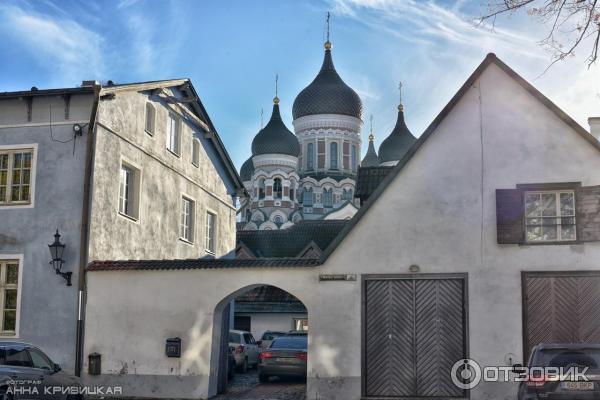 Экскурсия по Старому Таллинну (Эстония) фото