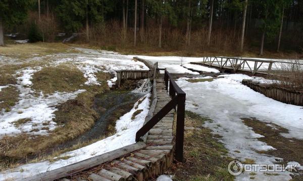 Парк-отель Воробьи (Россия, Обнинск) фото