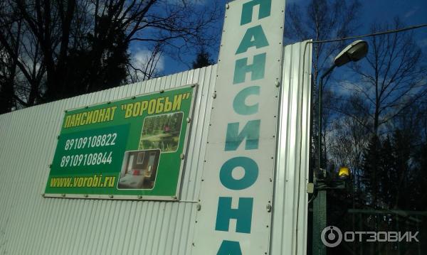 Парк-отель Воробьи (Россия, Обнинск) фото