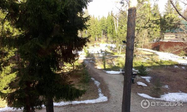 Парк-отель Воробьи (Россия, Обнинск) фото