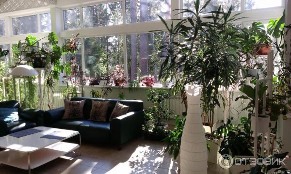 Парк-отель Воробьи (Россия, Обнинск) фото