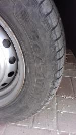 Автомобильные шины Белшина БЕЛ-100 175/70R13 фото