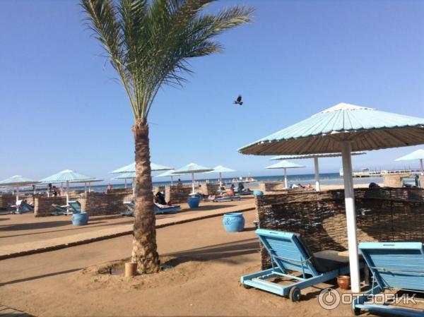 Отель Sonesta Pharaoh Beach Resort 5* (Египет, Хургада) фото