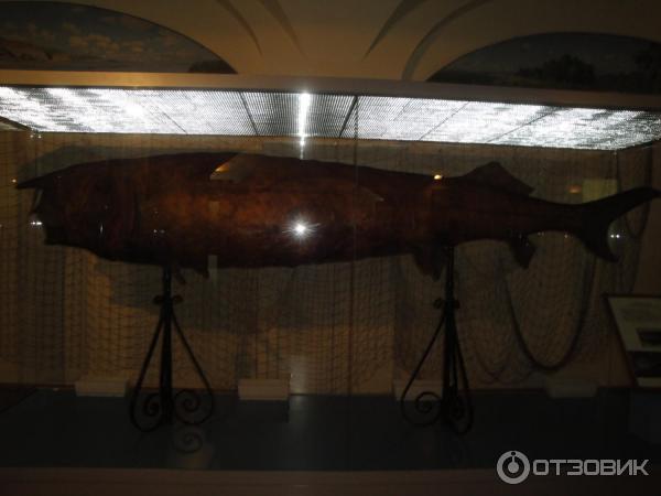 Национальный музей Республики Татарстан (Россия) фото