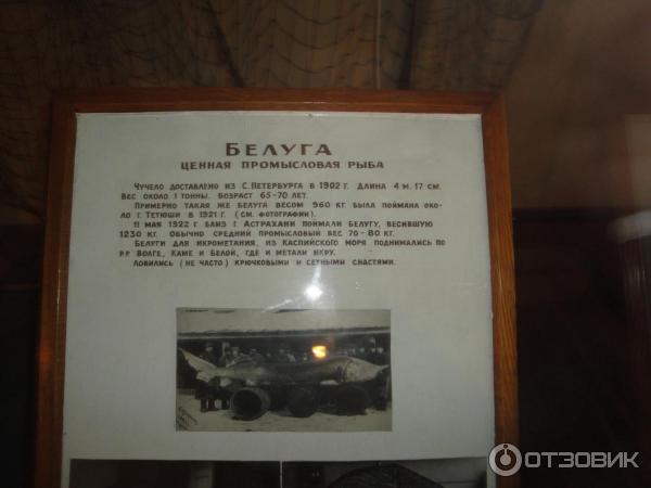 Национальный музей Республики Татарстан (Россия) фото