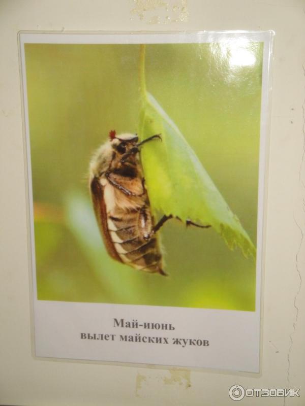 Национальный музей Республики Татарстан (Россия) фото