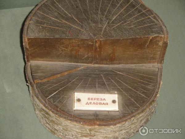 Национальный музей Республики Татарстан (Россия) фото