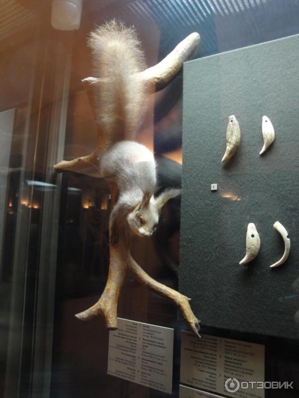 Национальный музей Республики Татарстан (Россия) фото