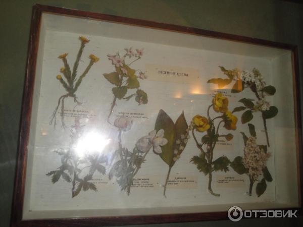 Национальный музей Республики Татарстан (Россия) фото