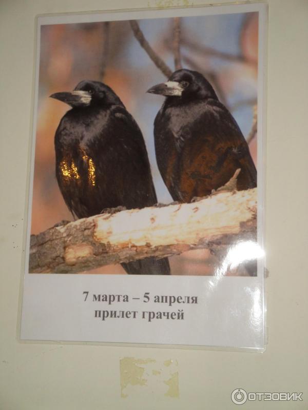 Национальный музей Республики Татарстан (Россия) фото