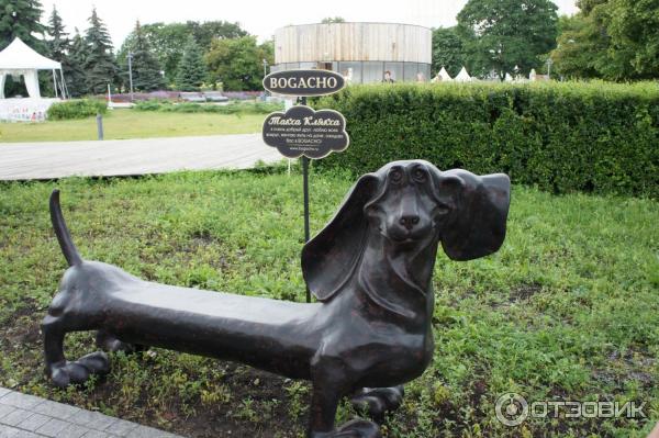 Московский международный фестиваль садов и цветов Moscow Flower Show (Россия, Москва) фото