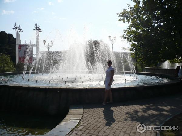 Парк возле концертного зала Фестивальный (Россия, Сочи) фото