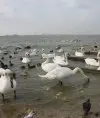 Rudimka