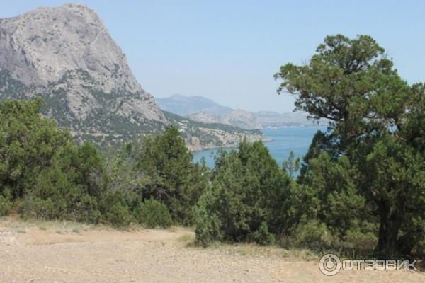 Зеленая бухта (Россия, Новый Свет) фото