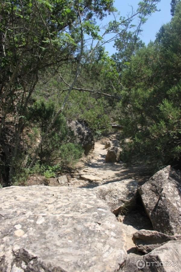 Царский пляж (Голубая бухта) (Россия, Крым) фото