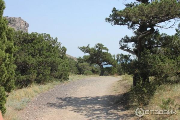 Царский пляж (Голубая бухта) (Россия, Крым) фото