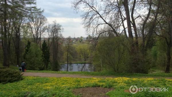 Музей-заповедник Горки Ленинские (Россия, Московская область) фото