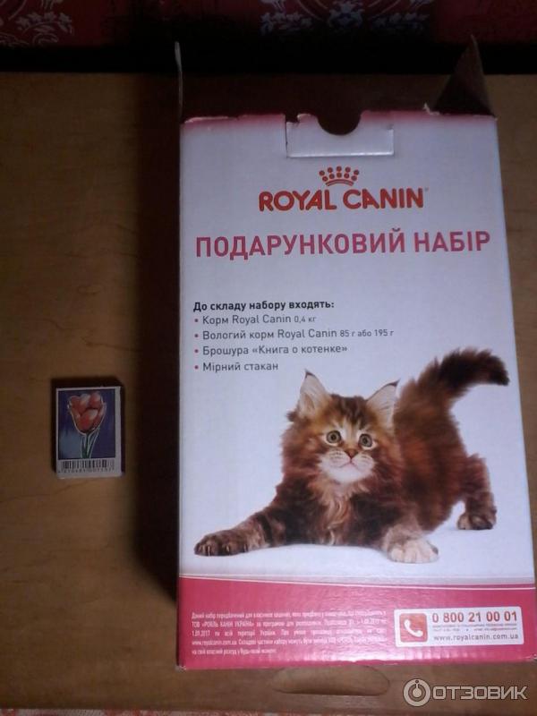 Набор Royal Canin Kitten фото