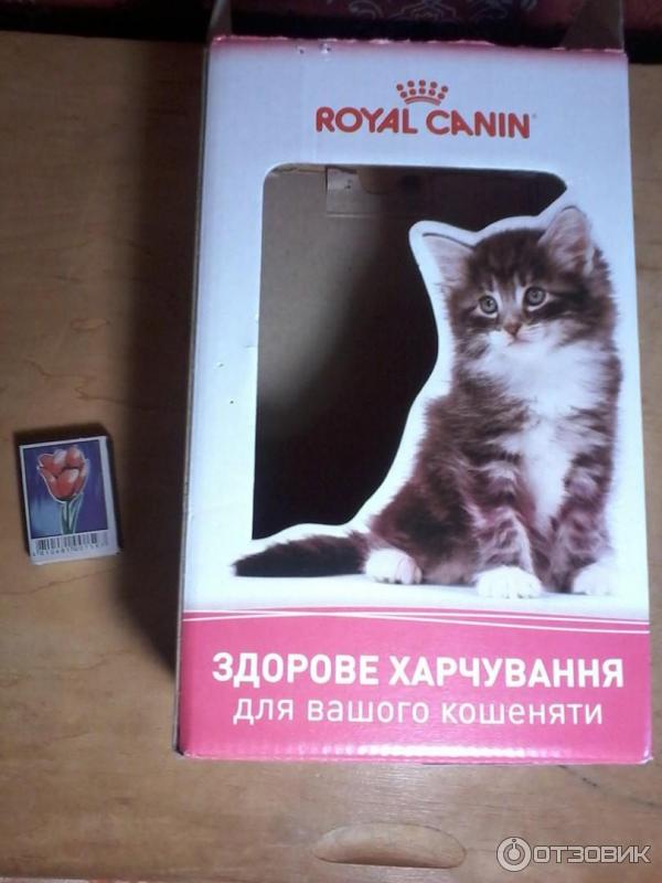 Набор Royal Canin Kitten фото