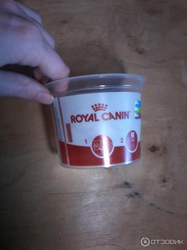 Набор Royal Canin Kitten фото