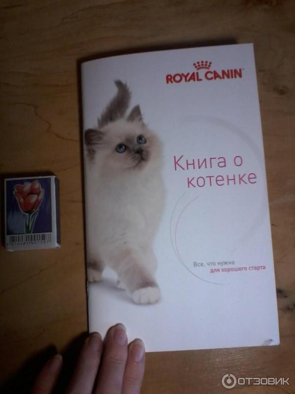 Набор Royal Canin Kitten фото