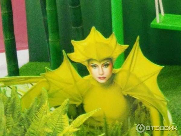 Цирковое шоу Varekai Cirque Du Soleil (Россия, Москва) фото