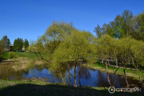 Мариентальский парк. Место слияния речек Тызьвы и Славянки