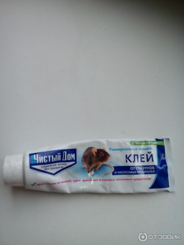 Клей от грызунов и насекомых Чистый дом фото