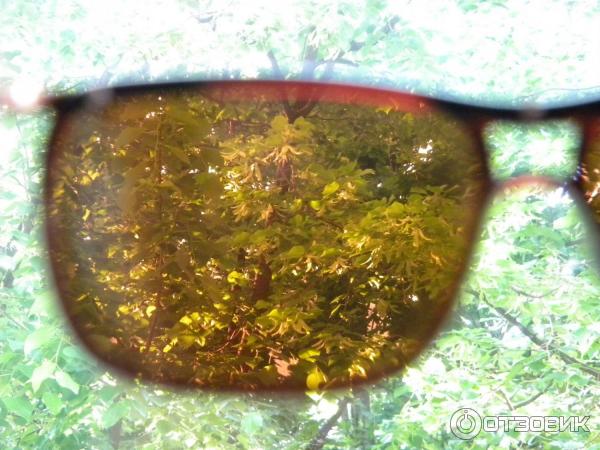 Солнцезащитные очки Matrix фото