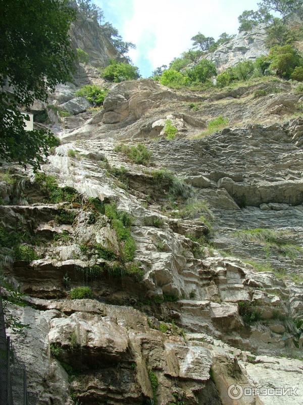 Экскурсия на гору Ай-Петри (Россия, Крым) фото