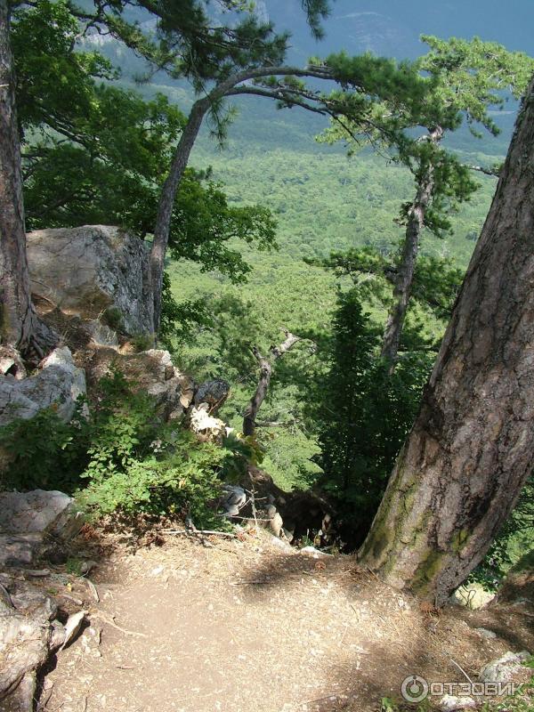 Экскурсия на гору Ай-Петри (Россия, Крым) фото