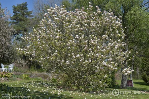 Экскурсия по г. Карлскруна (Швеция, Блекинге) фото