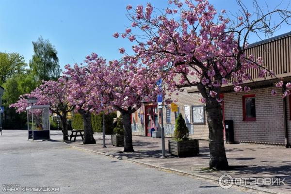 Экскурсия по г. Карлскруна (Швеция, Блекинге) фото